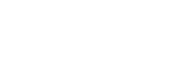 white DISA Healthcare Technology logo