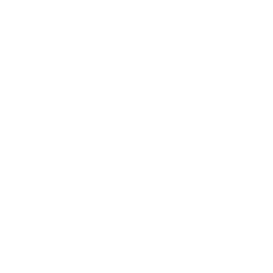 Picture of DISA